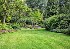 Optimiser l'expérience du jardin à Raimbeaucourt