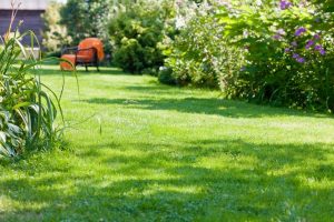 travaux jardin et paysage Raimbeaucourt